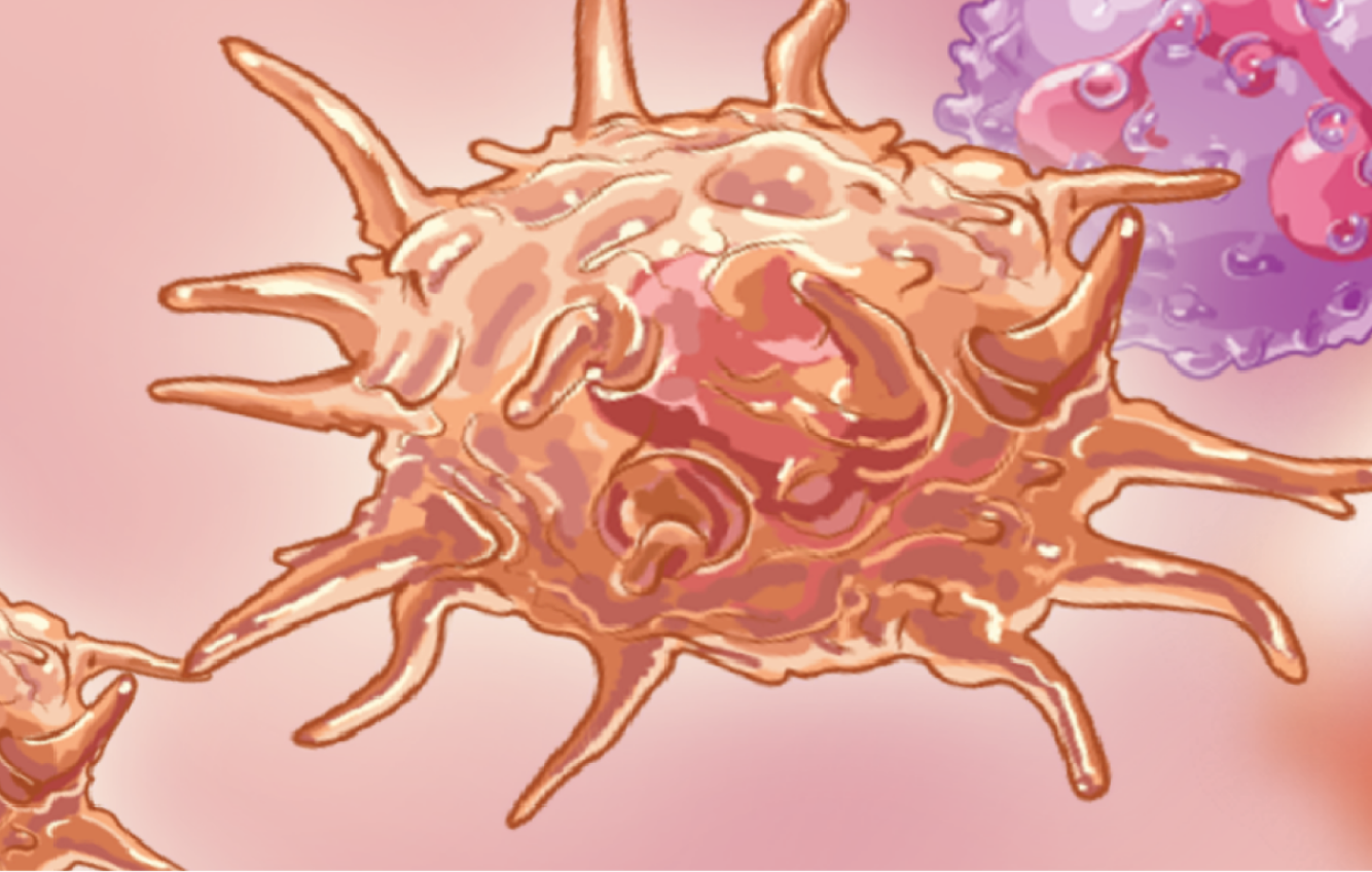 cytokines in inflammatory process close-up