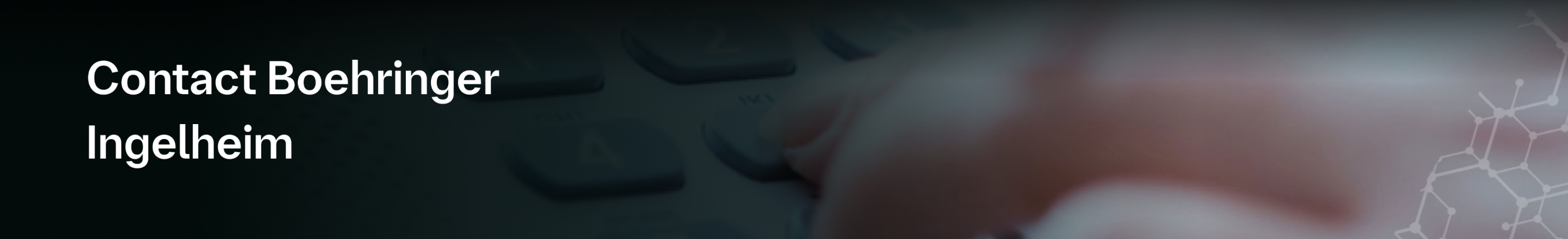 Contact BI hero image